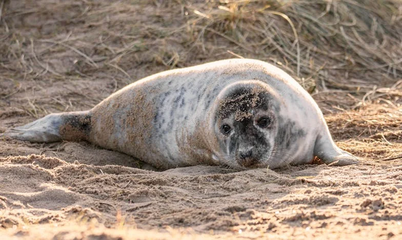 Az a nap, amikor minden megváltozott: Egy család harca az örökségért