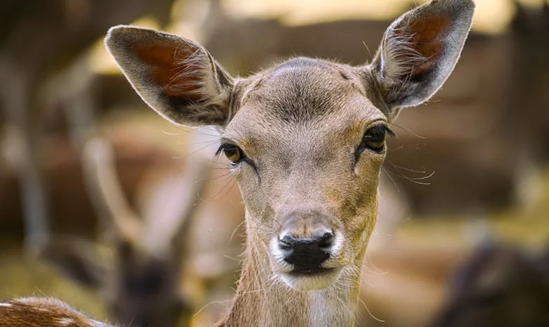 Egy döntés súlya – Történetem az emberi méltóságról a szegénység árnyékában
