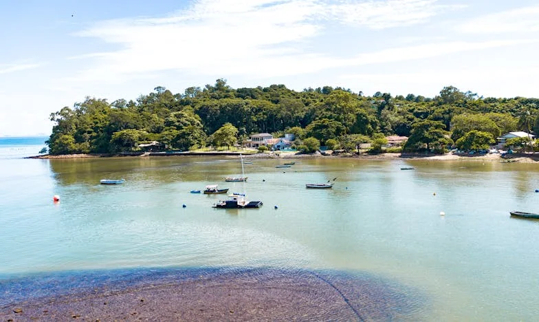 Egy lakás, két élet: Amikor a fiunk bérbe adta az otthonunkat