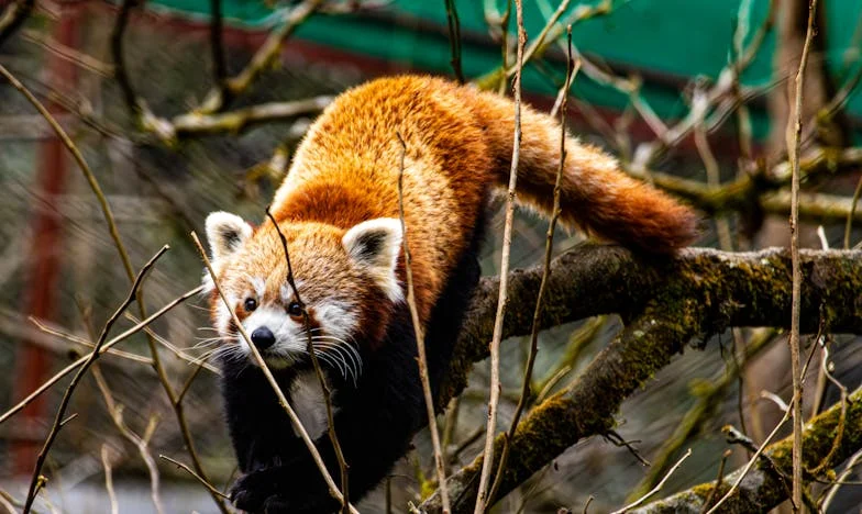 Egy Váratlan Szombat: Hogyan Változtatta Meg Egy Látogatás Az Életemet
