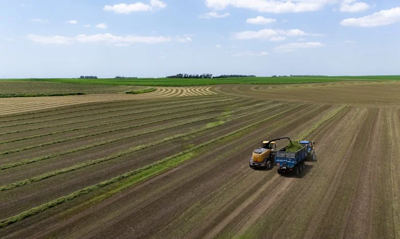 Elvittem apámat az idősek otthonába – tényleg rossz lány vagyok?