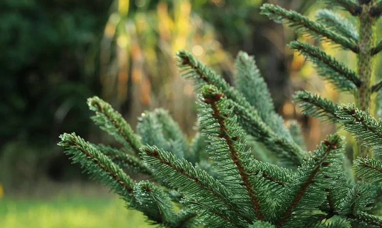 „Féltem, hogy már nem szeretsz” – Egy titok, ami mindent megváltoztatott