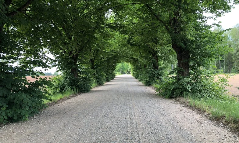 Hamu és sebhelyek: Magdi története a panelrengetegből