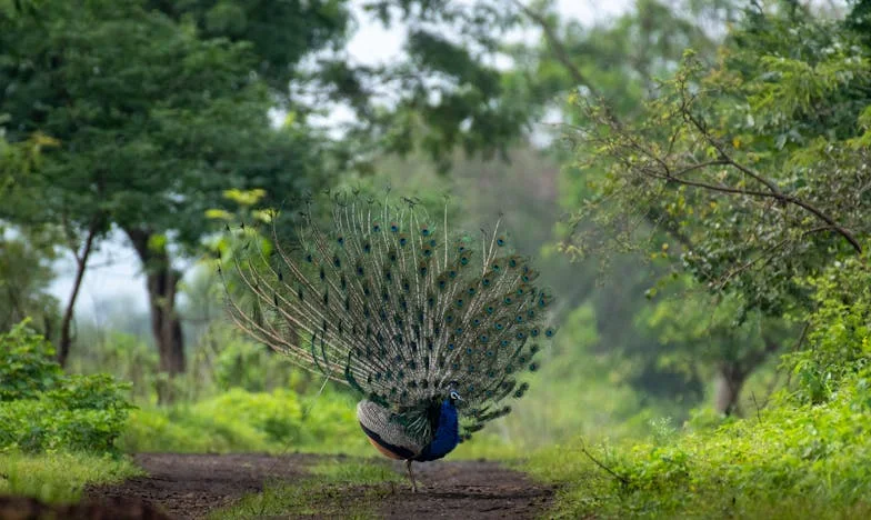 Három testvér, egy nap – Egy magyar család esküvője, ahol minden titok felszínre tör