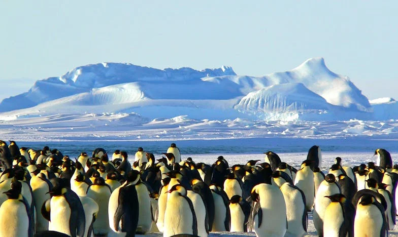 Hogyan lehetek láthatatlan? Egy magyar nő harca a családja elismeréséért