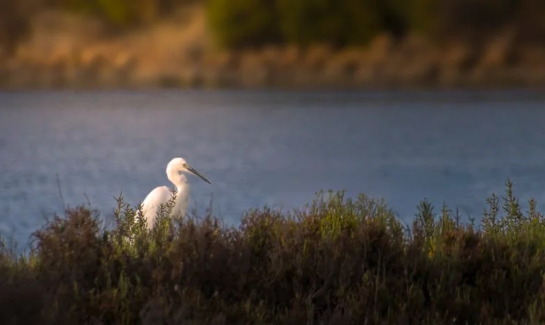Imádság és türelem: Egy zsarnoki anyós árnyékában