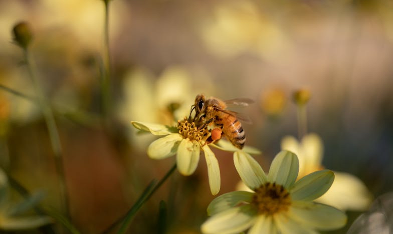 Jogom volt-e elvenni a nagyapától az unokáit? Egy apa küzdelme a fiai biztonságáért felesége halála után