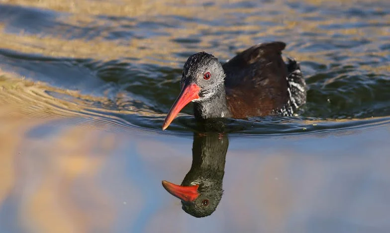 Két Apa Árnyékában: Egy Lány Döntése az Esküvője Előestéjén