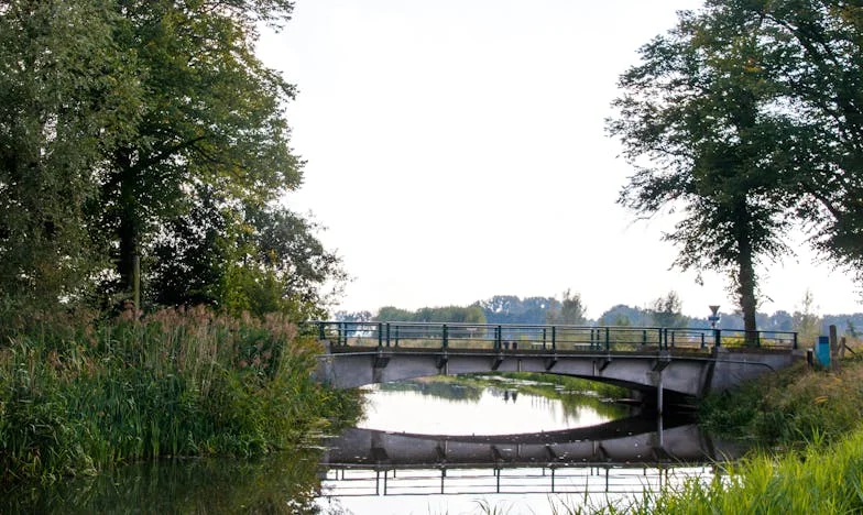 Két Fal Között: Egy Anyós Látogatás, Ami Mindent Megváltoztatott