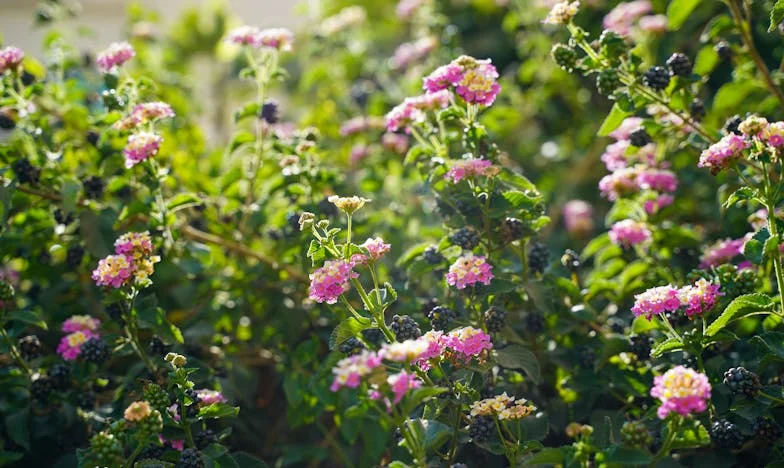 „Mama, miért nem mondtad, hogy nem bírod?” – Egy nyár az unokáimmal, ami mindent megváltoztatott