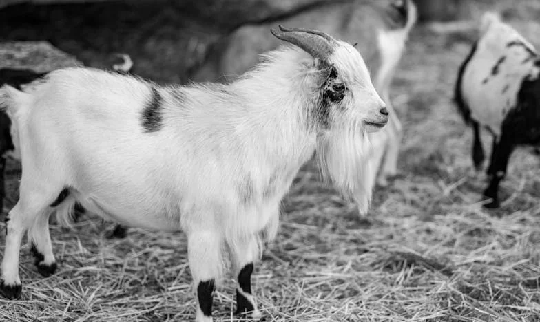 „Mami, csak kérlek… ne mondd el senkinek, hogy nálam laksz” – Egy anya vallomása a családi szégyenről