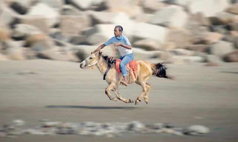 Menjetek csak, majd utolérlek titeket – Egy családi titok napja