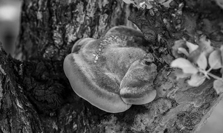 Őszintén: Az egész család utálja a menyemet – Vajon tényleg én vagyok a hibás?