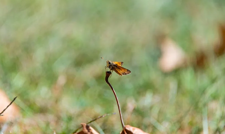 Túl későn láttam meg: Egy anyós vallomása és a végrendelet árnyéka