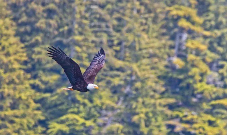 „A családom csak a halálomra vár – de én már mindent elrendeztem”