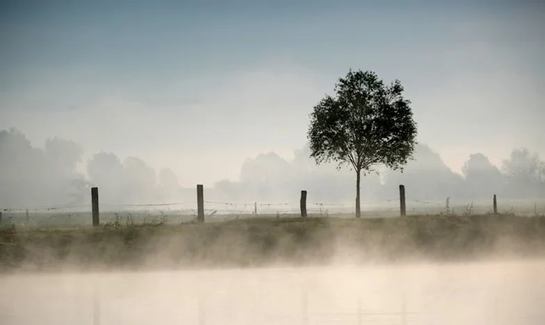 A sínek mellett talált gyermek: Egy titok, amely összetart és szétfeszít