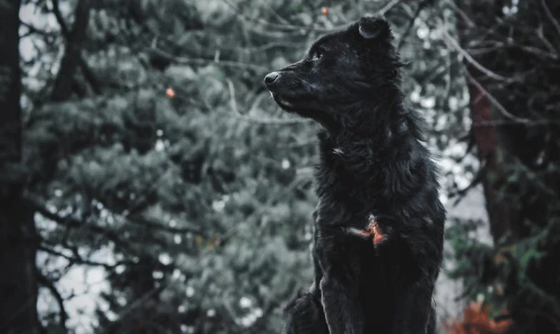 A születésnap, ami mindent megváltoztatott – Egy családi hagyomány árnyékában