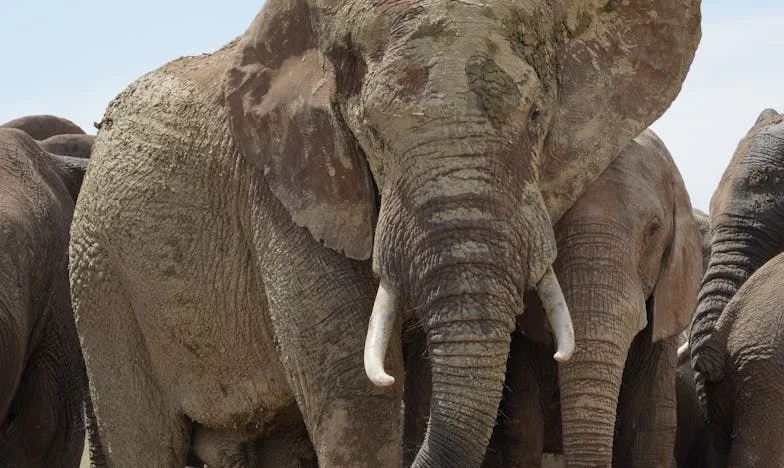 Amikor a család csak a pénzről szól: Egy magyar meny története az anyóssal, aki sosem hív csak úgy