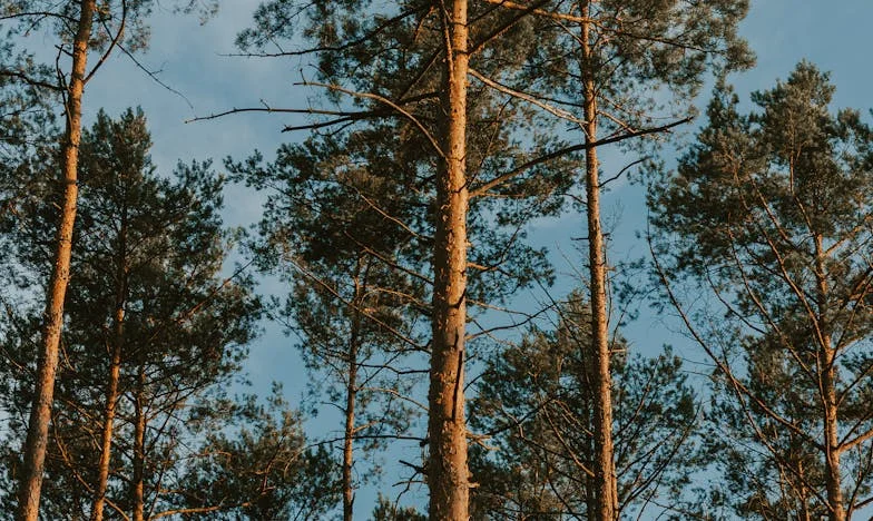 Amikor a család hátat fordít: Egy feleség harca önmagáért