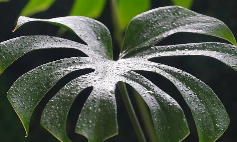 Amikor a lányom betegsége mindent felforgatott: Egy apa vallomása az igazságról és újrakezdésről