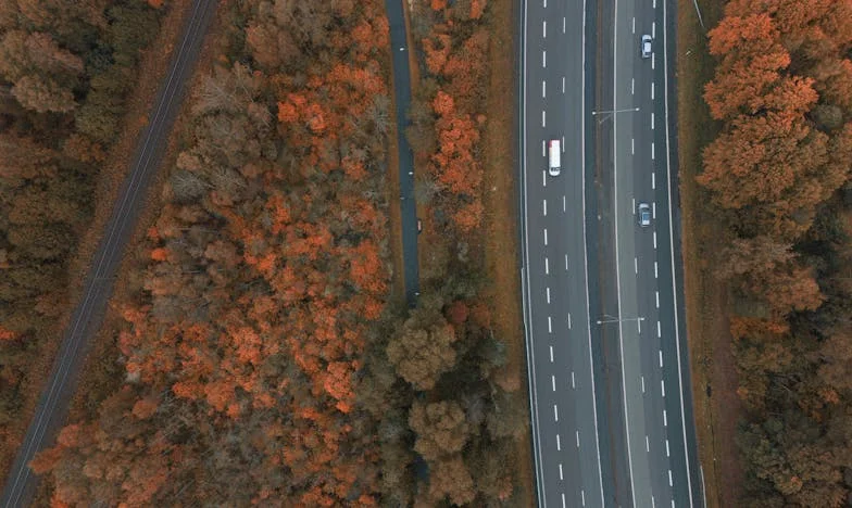 Amikor az anyai szív kettészakad – Egy nagymama vallomása a családról, hűtlenségről és újrakezdésről