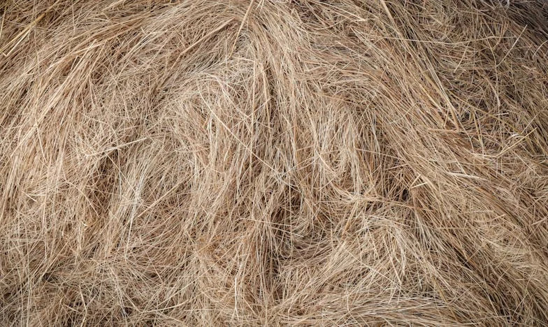 Amikor rájöttem, ki is valójában az anyósom – Egy magyar családi dráma