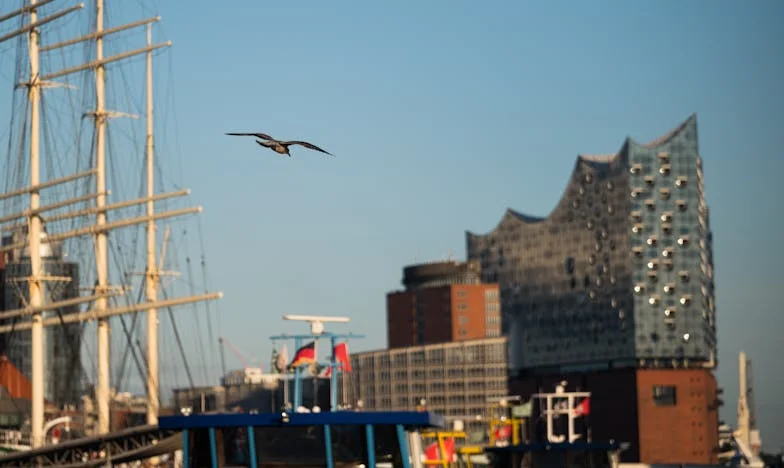 Anyám eladta a nagymama házát a hátam mögött – azt hittem, a család szent dolog