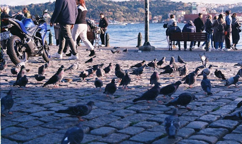 Az anyós szíve: Remény és kétségbeesés között egy magyar családban