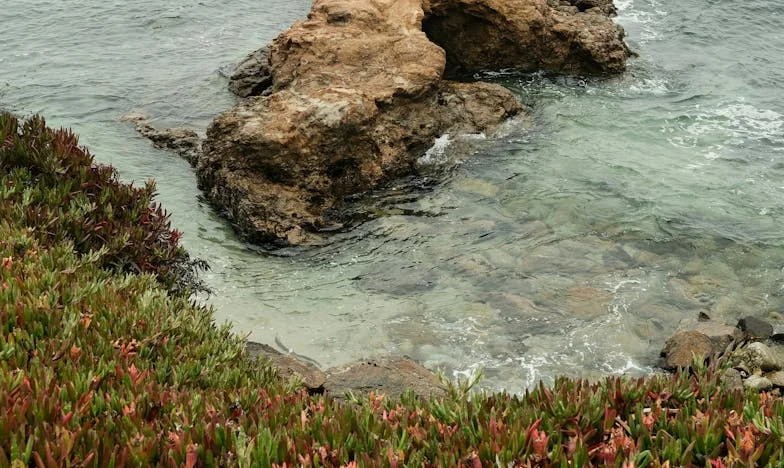 Az apám lakása, akit sosem ismertem – most anyám a felét követeli. Vajon ez igazságos?