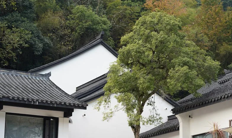 Az elveszett lányom: Egy anya vallomása a családi törésvonalakról