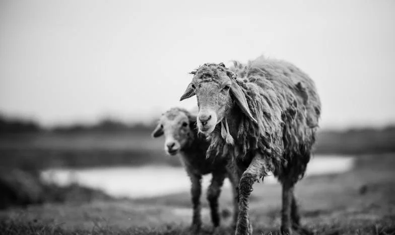 Az igazság Dánielről: Mi történt valójában, amikor elment?