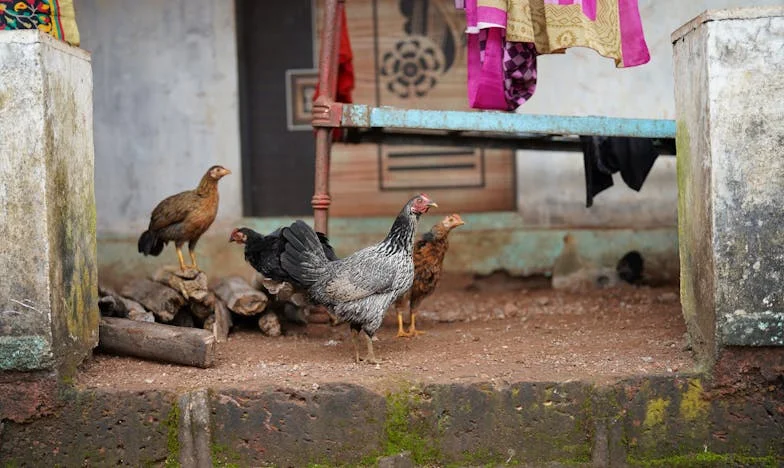 Bölcső nélkül, pelenka nélkül: Egy hazatérés, ami mindent megváltoztatott