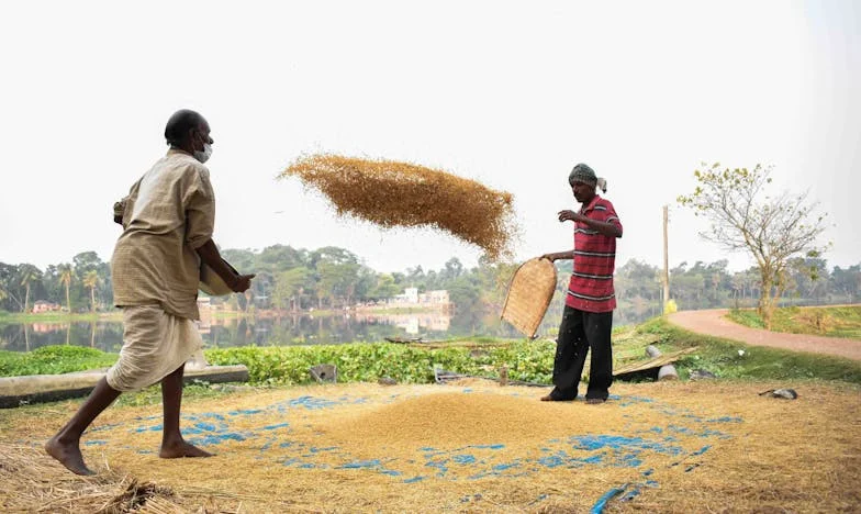 Egyedül az ítélet előtt – Egy magyar apa küzdelme négy gyermekéért
