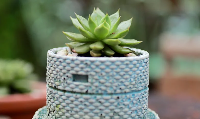 Elárult örökség: Egy anya árnyékában