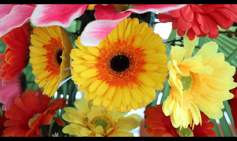 Imádság a kórházi csendben: Egy férj küzdelme a reményért, miközben felesége az életéért harcol