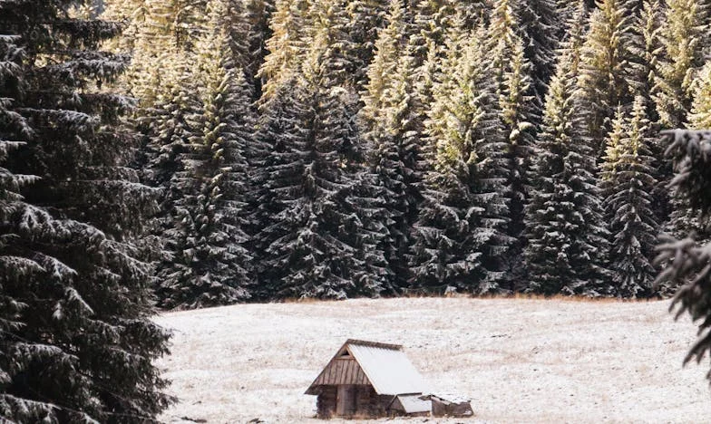 Konyha két tűz között: Egy magyar meny és anyós harca a családi békéért
