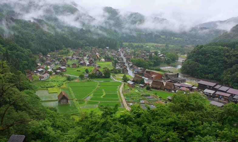 Sötétség a tizediken: Kovács Júlia története egy budapesti panelházban