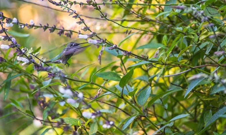 Zárak mögött: Egy magyar család széthullása anyósom álmai miatt