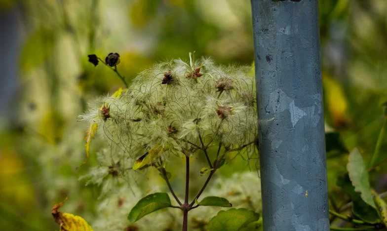 A férjem titkos adósságai – amikor a múlt árnyéka bekúszik a jelenbe