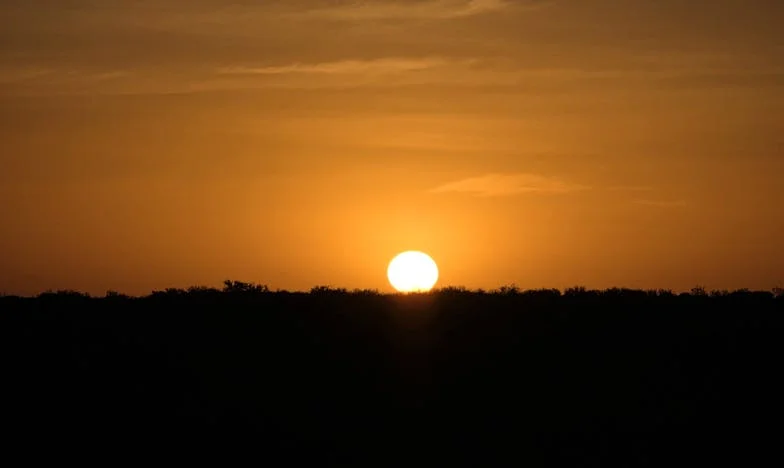 A hűség ára – Egy budapesti feleség vallomása