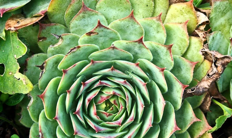 A küszöbön túl: Amikor kidobtam a fiamat, és végre önmagam lettem