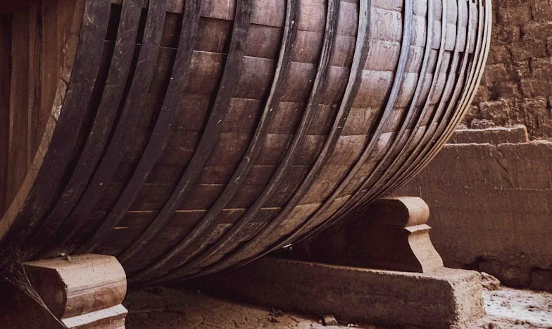 A rózsák illata: Egy házasság árnyékában