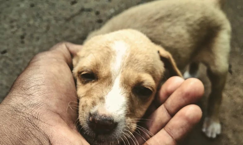 Amikor a családom békéjéért harcoltam: Egy karácsony, ami mindent megváltoztatott