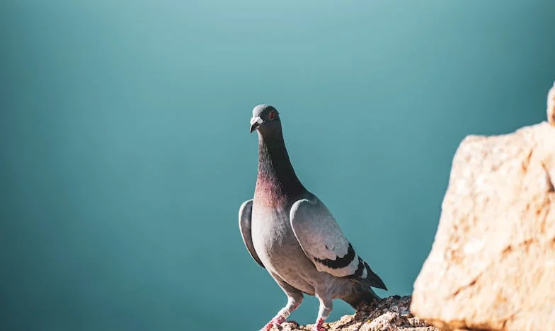 Anyám nem akar vigyázni a gyerekeimre: Egyedül a munka és a magány között