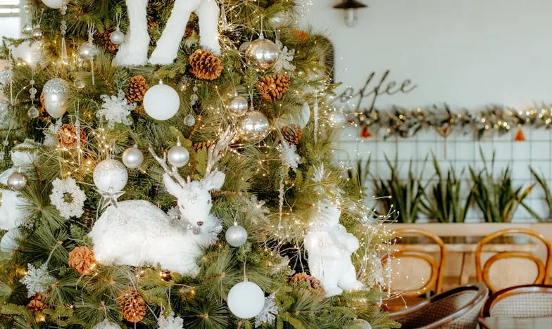 Anyós a nappalinkban – avagy hogyan veszítettem el a saját otthonomat?