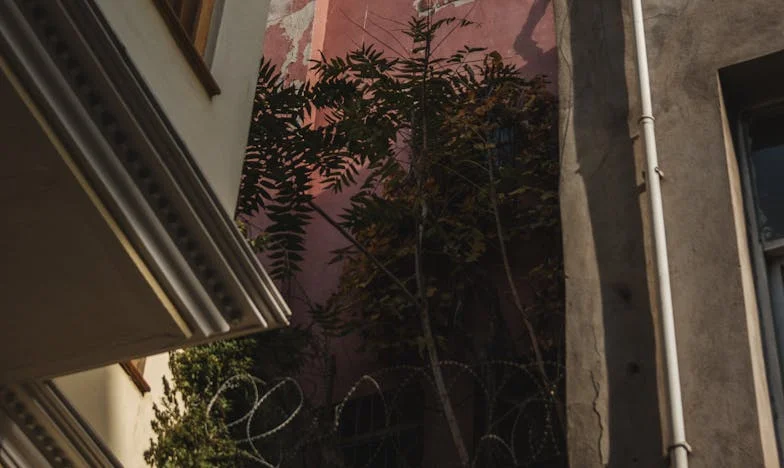 Árnyék a családunk felett: Amikor a bizalmatlanság beköltözött az otthonunkba