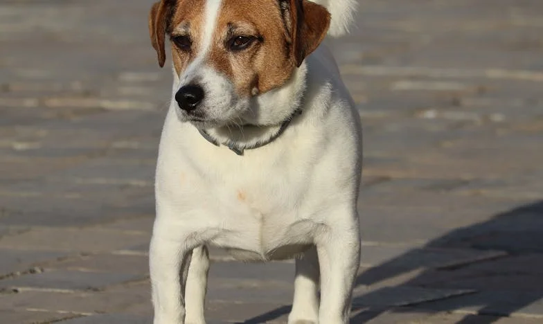 Az igazság ára: Egy házasság megrendülése a titkok súlya alatt