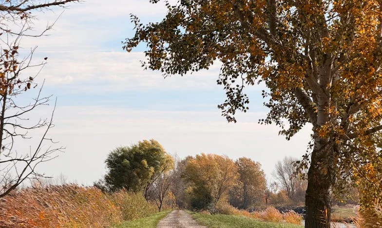 Csak egy unoka elég! – Harcom az anyósom döntése ellen