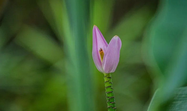 Egy bőröndnyi múlt – Amikor a szabadság ára a magány