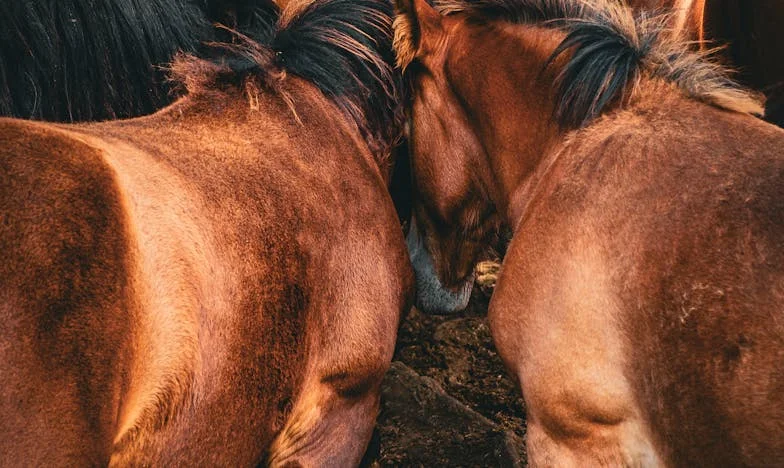 Hétvégi ostrom: Amikor az otthonod már nem a tiéd